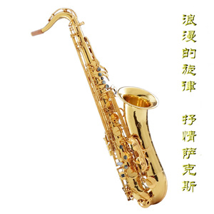 捆绑sm调教大胸美女
